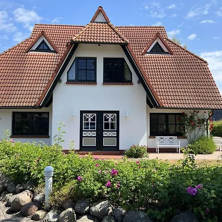 Windfluechter 3 青斯特